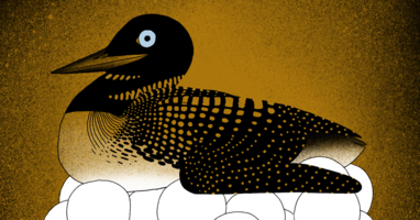 Safi Bahcall on the necessity of nurturing innovation