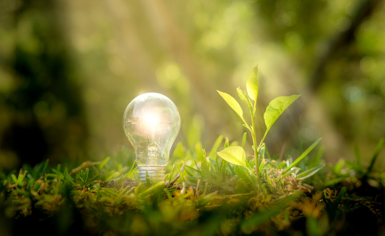 Climate Change and Sustainability Advertising: Tips, Dos, and Don'ts for Digital Marketers - Basis Technologies