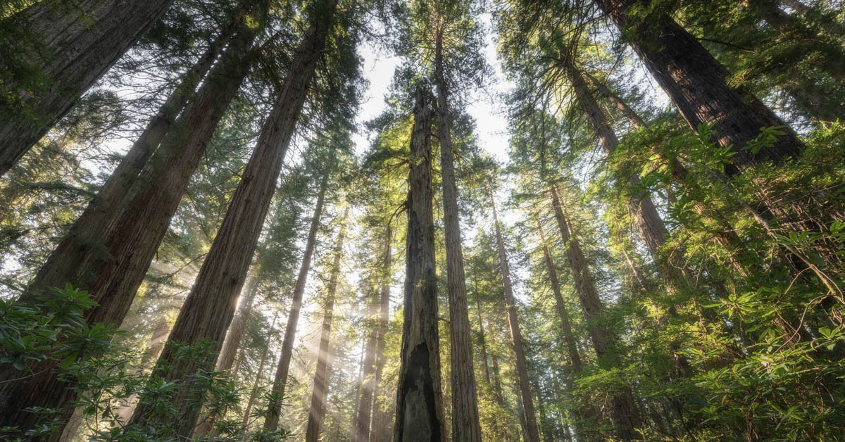 The GTM operating system for an 'efficient growth' world