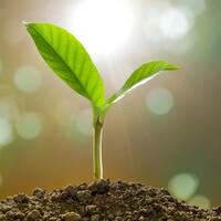 Mazars | SugarCRM UK