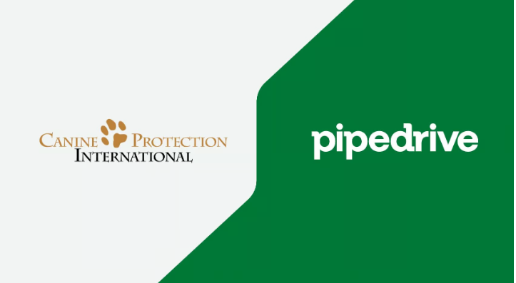 How Canine Protection International fueled $50k revenue growth in six months