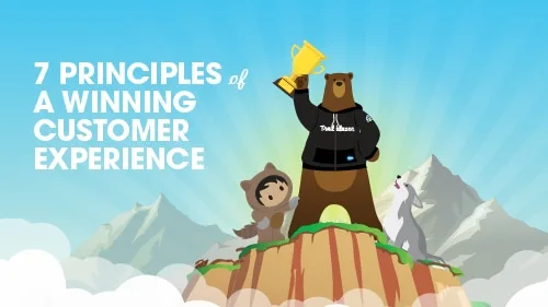 7 Principles of a Winning Customer Experience