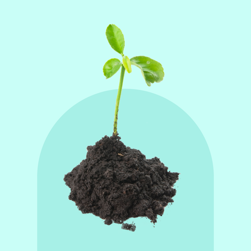 Bulk sending is out, collection and nurture are in!