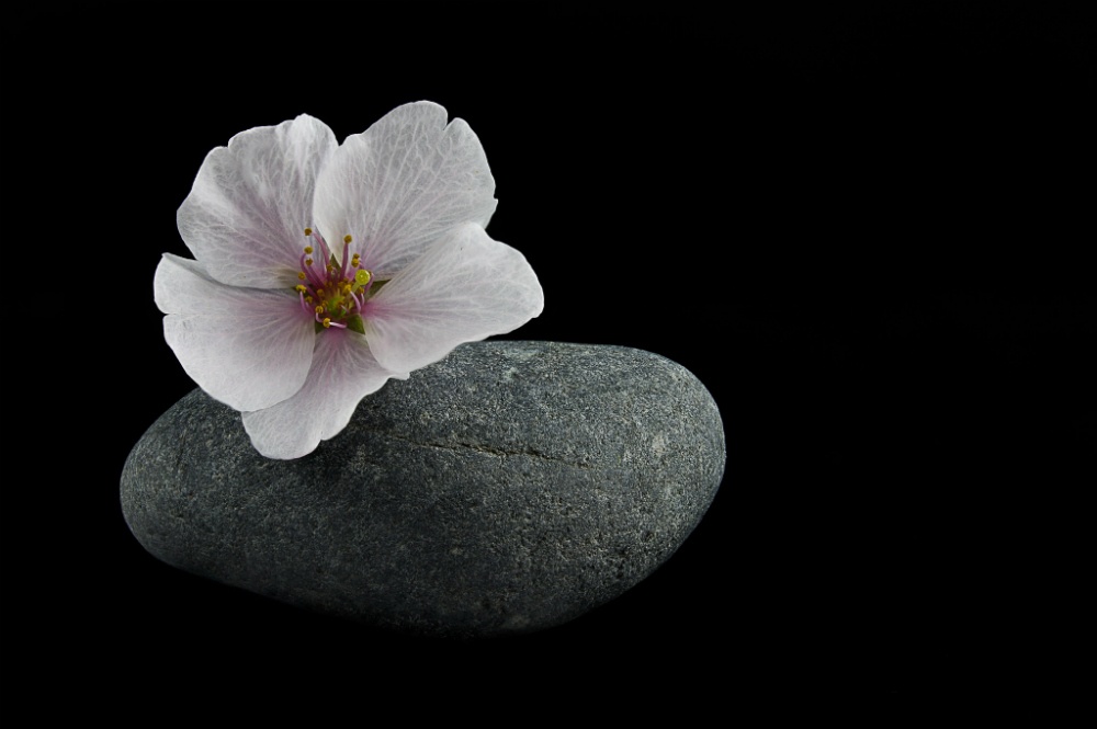 Sales Strategy Change - 7 Steps to Increase Your Chances of a Successful Outcome