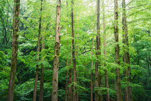 The Small Business Success Ecosystem