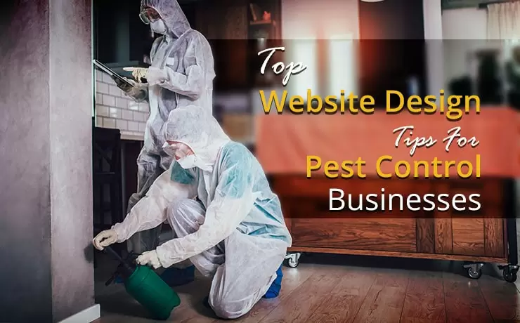 Top Website Design Tips For Pest Control Businesses