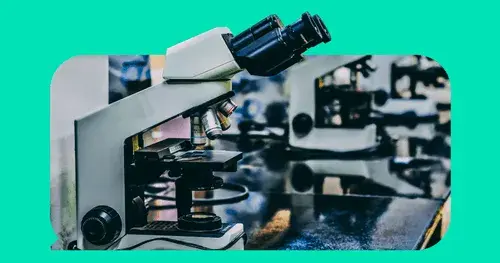 Redditors are researchers: set your attribution windows accordingly