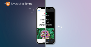 Leveraging Litmus | Dark Mode and Accessibility in Litmus