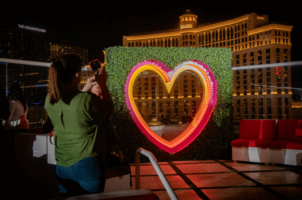 The Ultimate Guide to Event Sponsorship