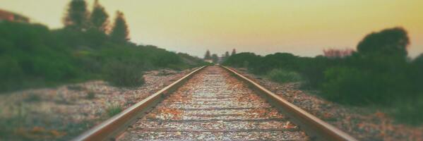 Learn How To Avoid "The Certainty Trap"