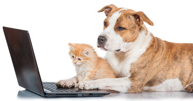 Inbound and Outbound Sales - Can't we all get along?