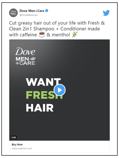 Top Brands on Twitter & Facebook and Social Media Ad Strategies