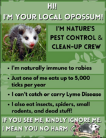 Opossum one pager flyer - Swipe File