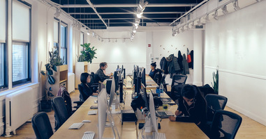 Making Data-Driven Decisions with Verbal+Visual