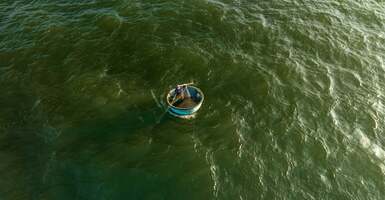 Save your data from the sea of mediocre single-vendor enrichment solutions