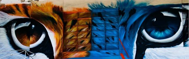 7 Reasons to Live, Do Business, and Invest in Medellin