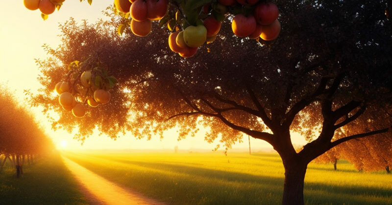 Create a Strong Hiring Foundation With a Healthy Hiring Tree