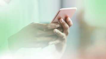 Local SEO vs Organic SEO: What's the Difference? - Reputation