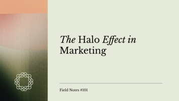 Field Notes #101: The Halo Effect in Marketing