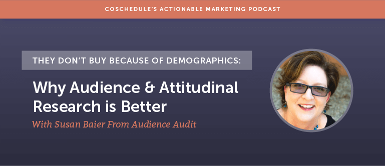 They Don't Buy Because Of Demographics: Why Audience And Attitudinal Research Is Better With Susan Baier From Audience Audit [AMP 164]