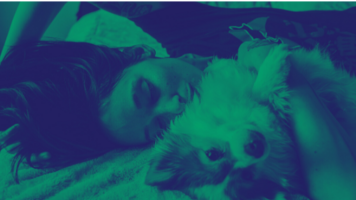 Digital ads say dog owners want D2C dog food that's cheap, natural