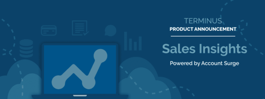 Introducing Sales Insights to Better Prioritize Target Accounts for ABM - Terminus Site