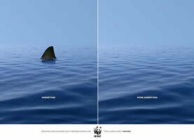 Before and after print ad for non profit - Swipe File