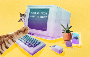 An Introduction to SEO: Demystifying Search Engine Optimization