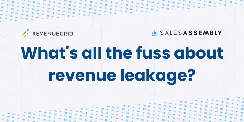 What's all the fuss about revenue leakage?