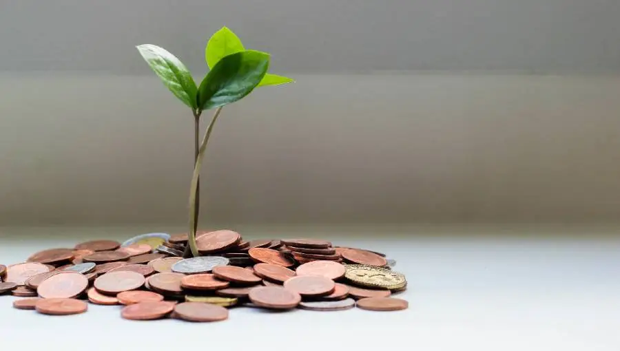 How Can You Make Money by Developing Useful API?