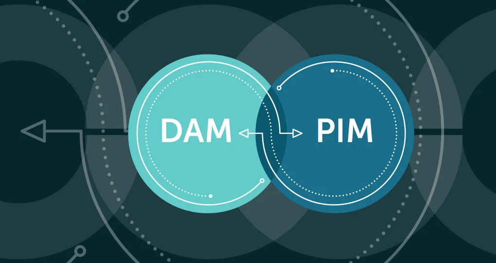 Unleashing the Power of PIM and DAM Integration