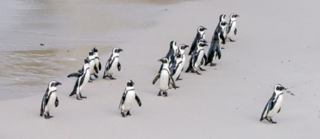 Build a customer-centric culture to empower your employees