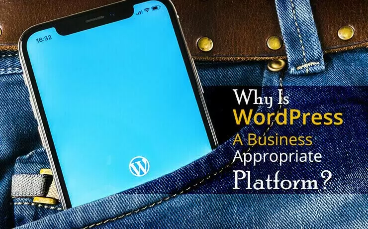 Why Is WordPress A Business Appropriate Platform?
