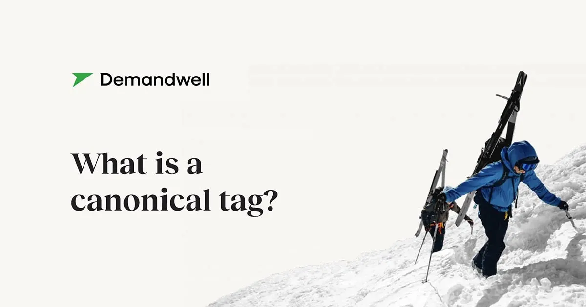 What Is A Canonical Tag?