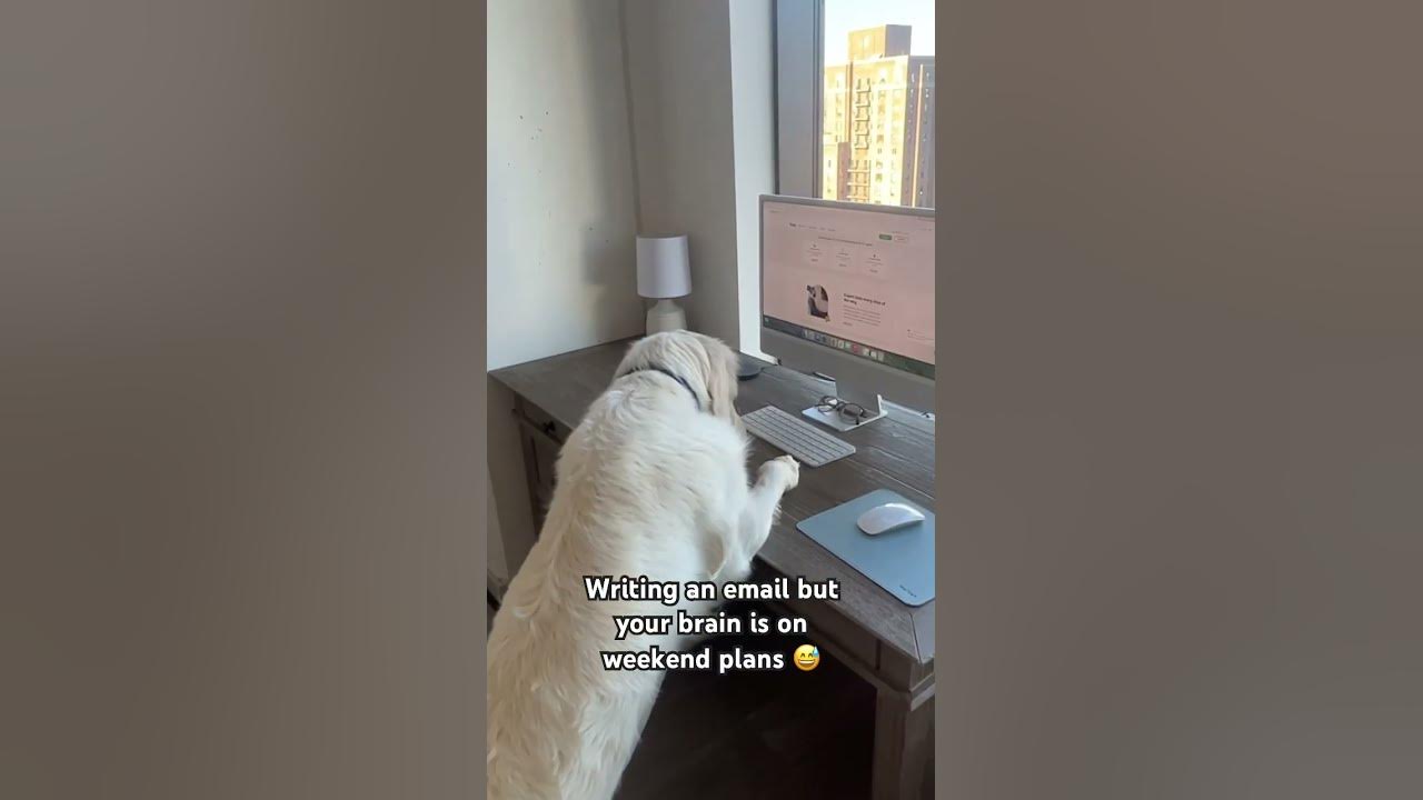 Thankfully we have Keap's AI Content Assistant to help write emails #fridayfeeling #workfromhome