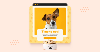Email Marketing Best Practices for Pet Brands in 2023
