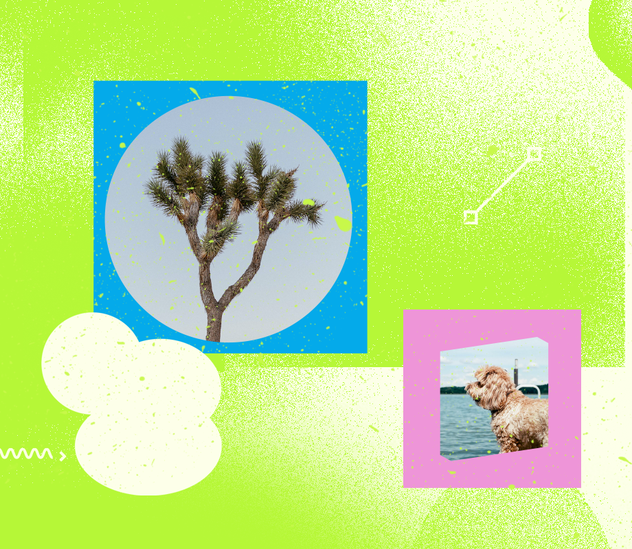 User-generated Content: Everything You Need to Know