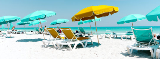 Bloomreach Commerce Pulse: The Road to Reopening