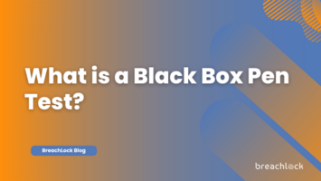 What is a Black Box Pen Test?