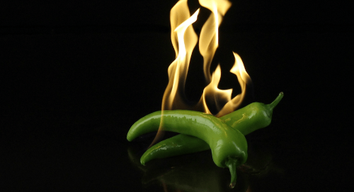 Turn Leads to Sales – 31 Hot Tips for Turning Marketing Leads into Closed Sales