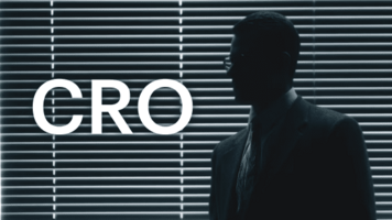 What is Chief Revenue Officer