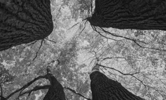 This Week in Growth - April 7th, 2022