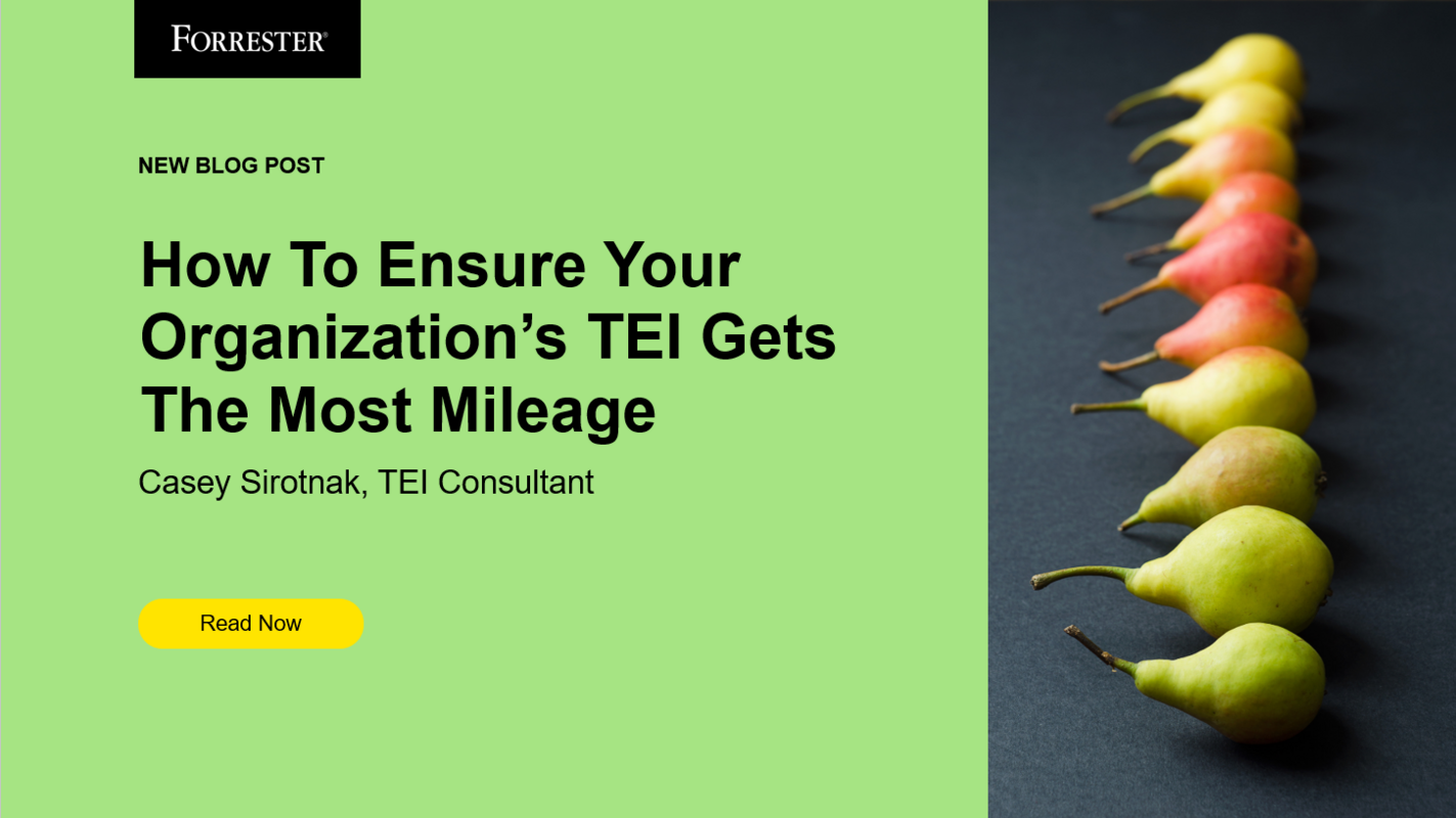 How To Ensure That Your Organization's TEI Gets The Most Mileage