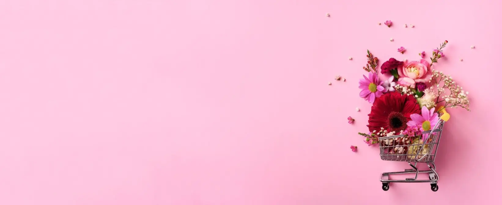 How to generate eCommerce sales with Instagram [2023]