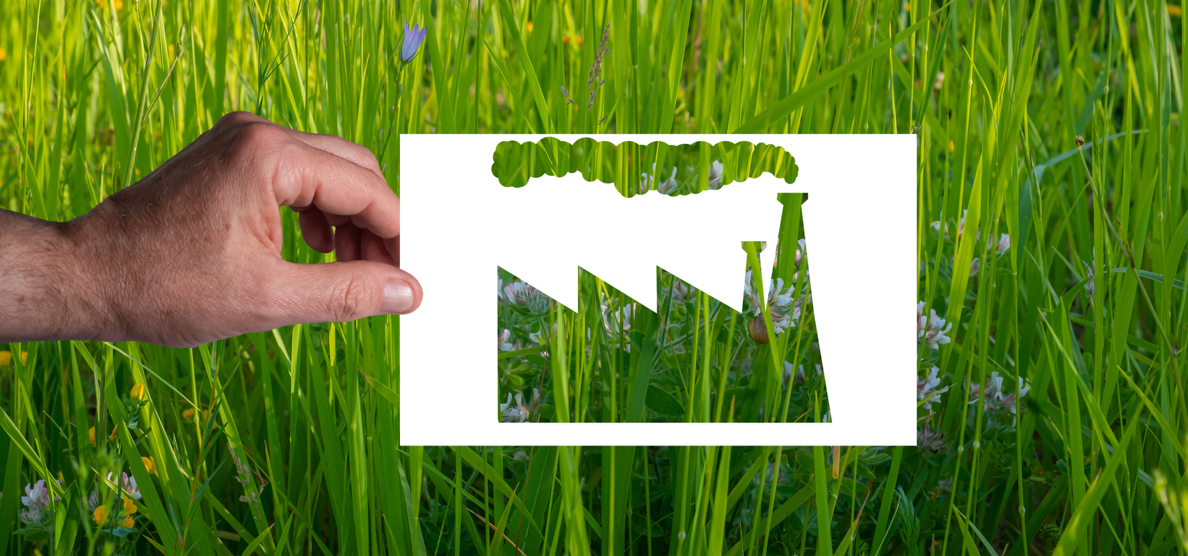 Scout: This Week's Top Content from the World of Digital Marketing (4/14/22 - 4/21/22) - Basis Technologies