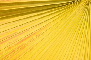 Secrets of an Agile Incubation Team