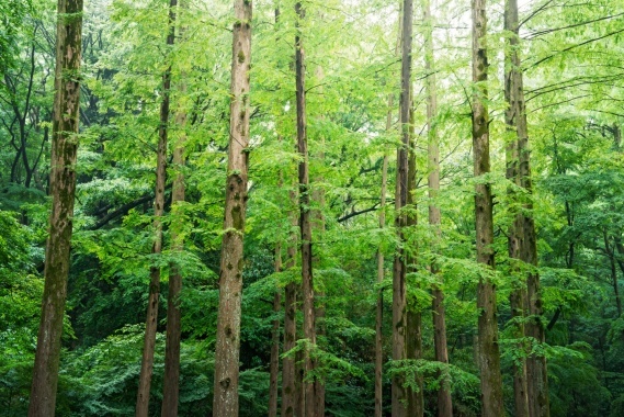 The Small Business's Success Ecosystem