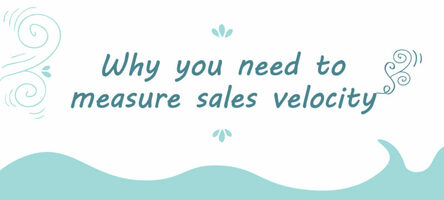 Why You Need to Measure Your Sales Velocity