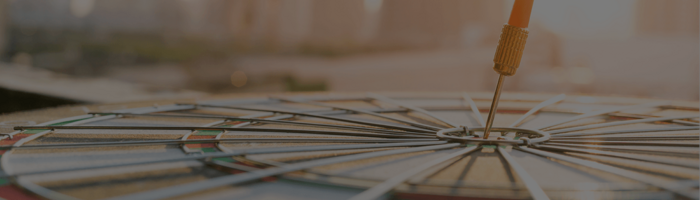 Customer Success Plan: Key for Adoption and Expansion