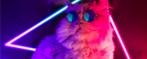 A look back: 10 emails from 2021 that we're loving and why